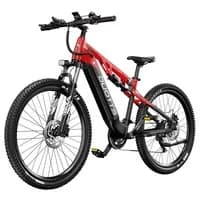 DUOTTS E29 električno kolo 250W 48V - 2